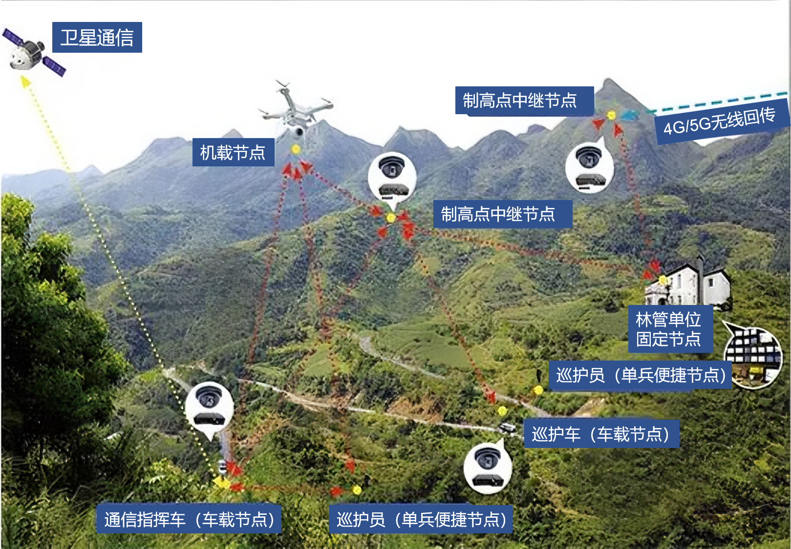 森林防护拓扑图 拷贝.jpg